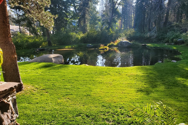 50000 Hampshire Rocks Rd, Emigrant Gap, CA 95715 Alisa Adriani 5304123070