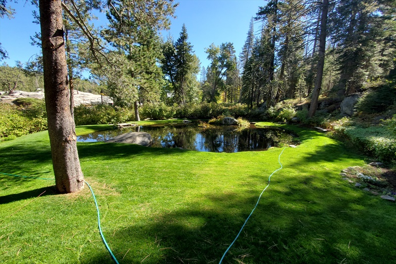 50000 Hampshire Rocks Rd, Emigrant Gap, CA 95715 Alisa Adriani 5304123070