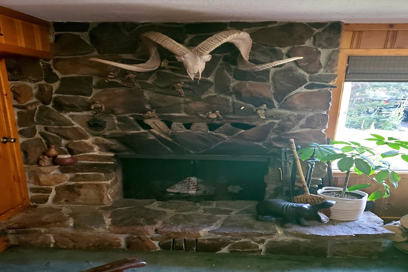 50000 Hampshire Rocks Rd, Emigrant Gap, CA 95715 Alisa Adriani 5304123070